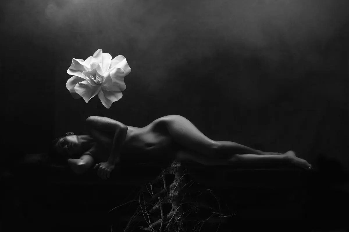 Фотография 27